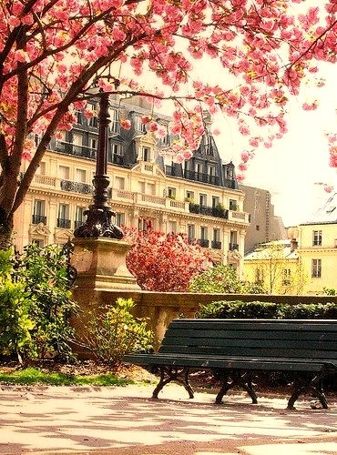 Springtime Park, Paris, France
