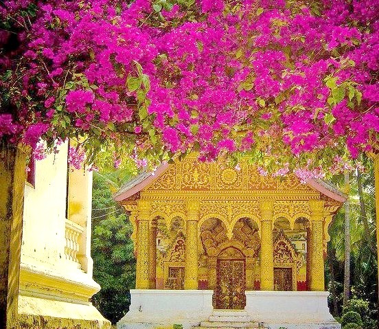 Floral entrance to Buddhist Wat, Luang Prabang, Laos