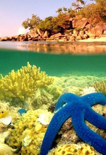 Lizard Island, Great Barrier Reef, Queensland, Australia