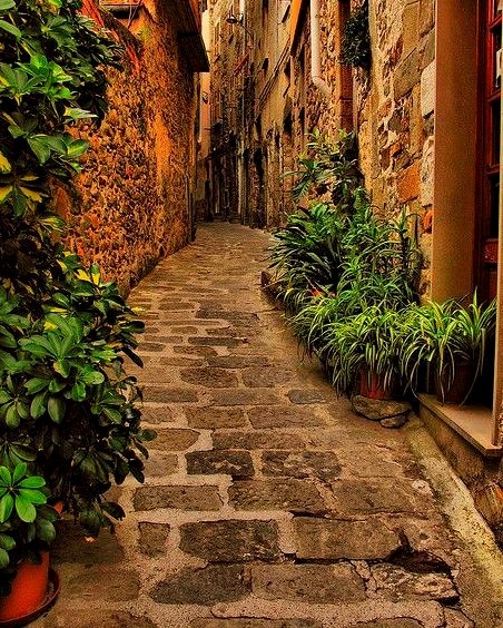 Narrow Street, Liguria, Italy