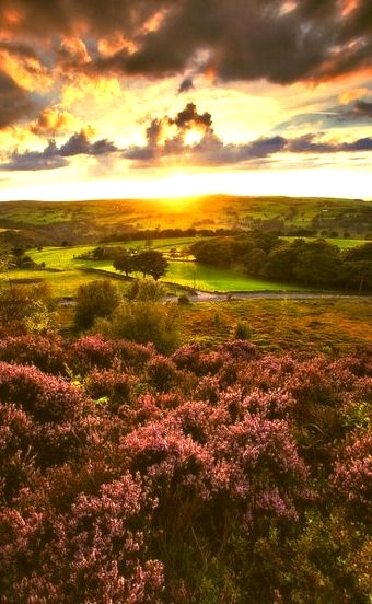 Sunset Moor, Yorkshire, England