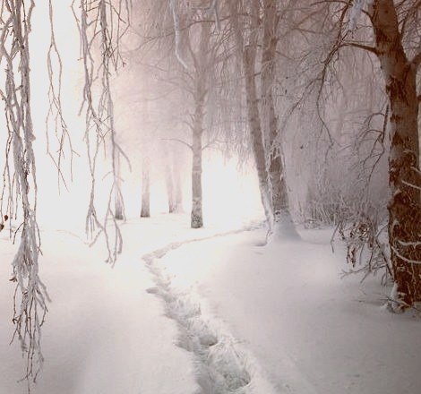 Snow Path, Finland