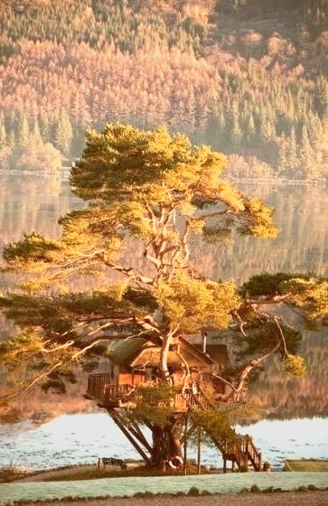 Tree House Lodge, Scotland