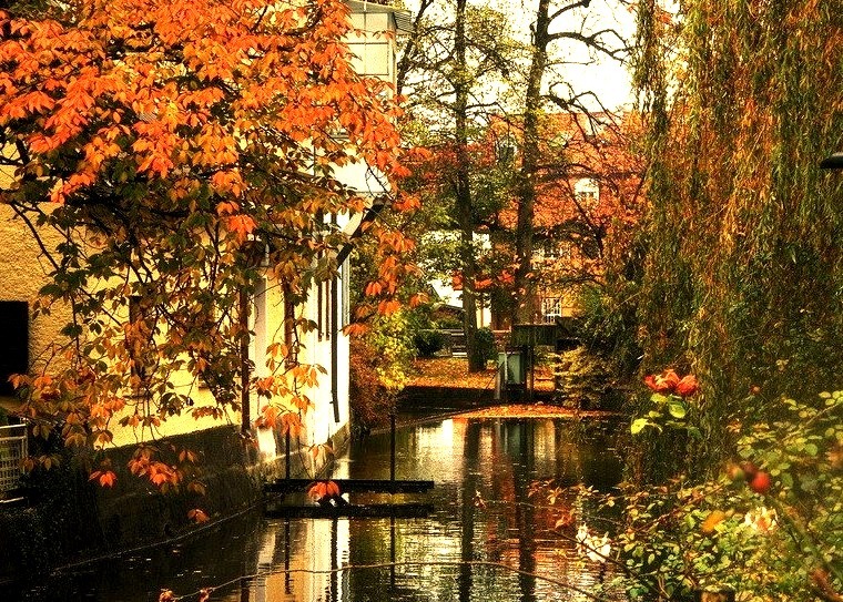 Autumnal beauty, Bad Aibling in Bavaria, Germany