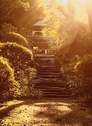 Stairs to the temple in Kamakura, Japan
